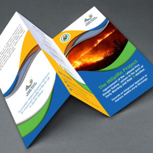 SLIDES IMAGES 21022520