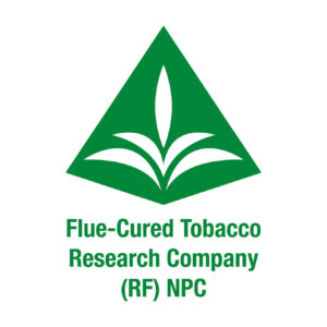 SLIDES IMAGES 2102256