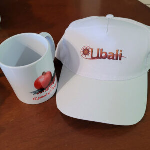 SLIDES IMAGES 2102257